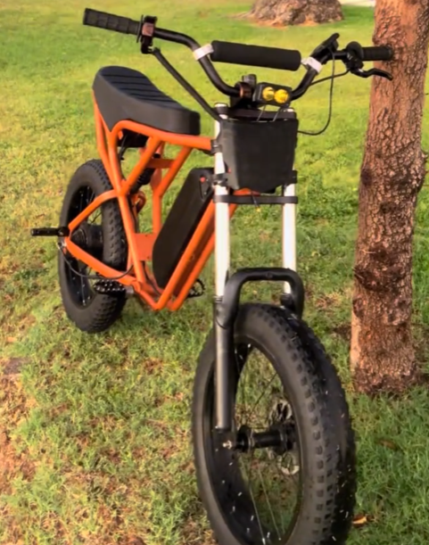 Ridstar Parts